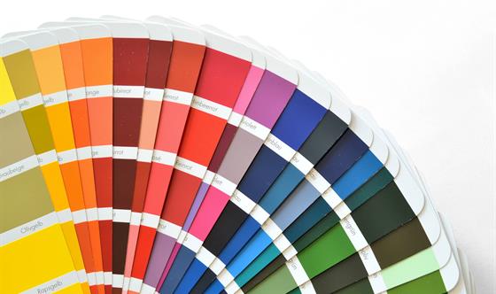 Renk Kartelası ve Ürün Kataloğu